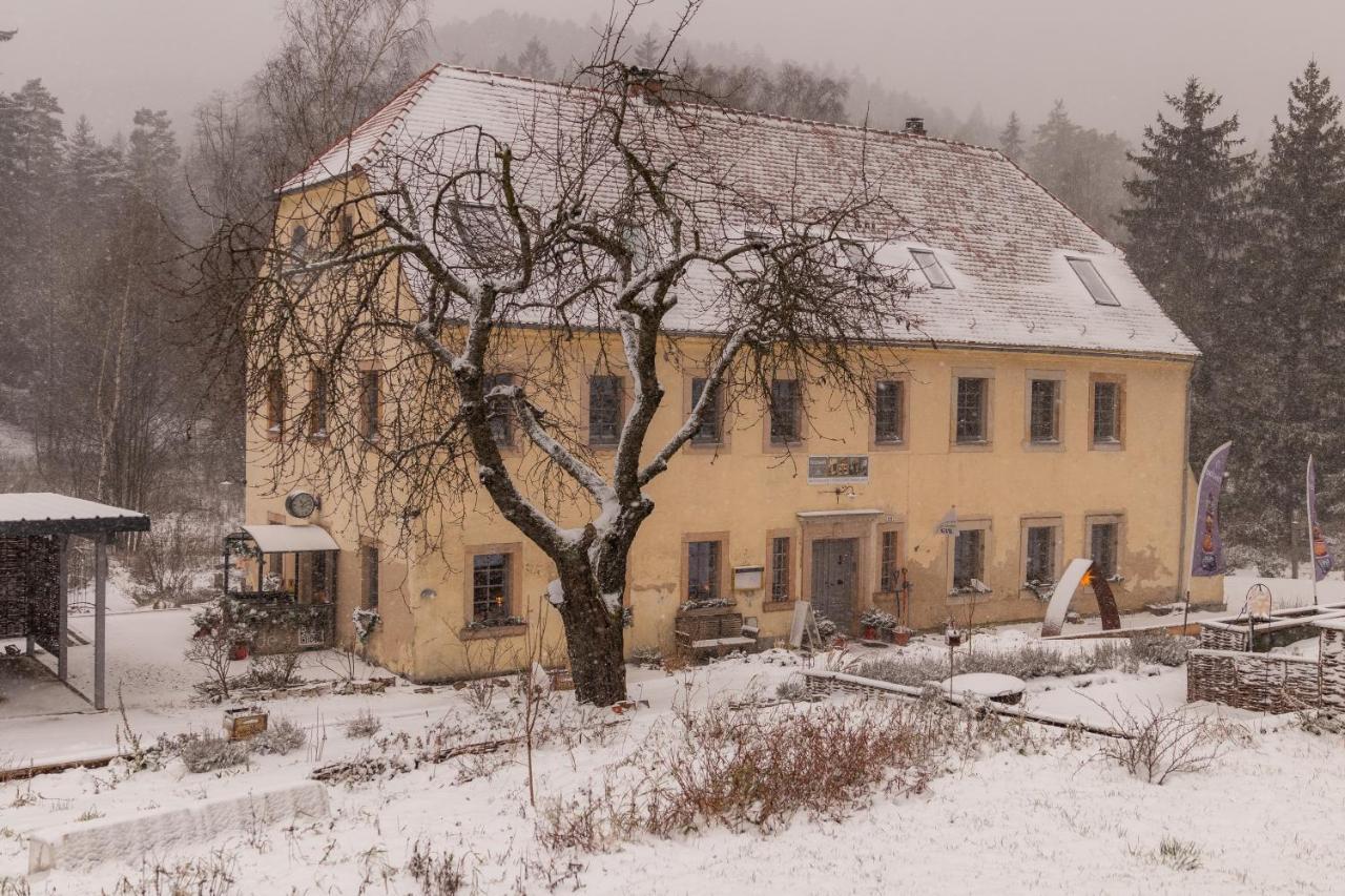 Holzwerk Oybin Apartment Luaran gambar