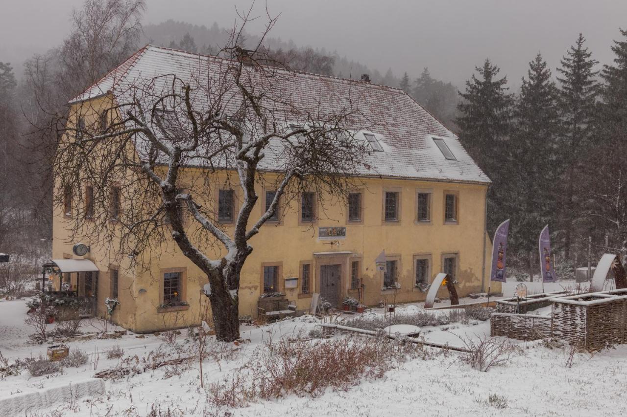 Holzwerk Oybin Apartment Luaran gambar
